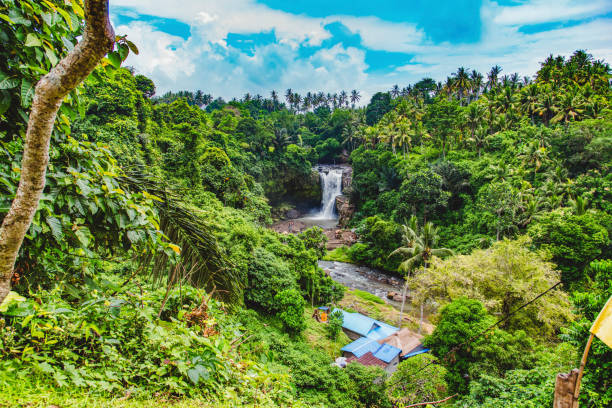 istock Beautiful waterfall with tropical plants in Bali, Indonesia 1294563573