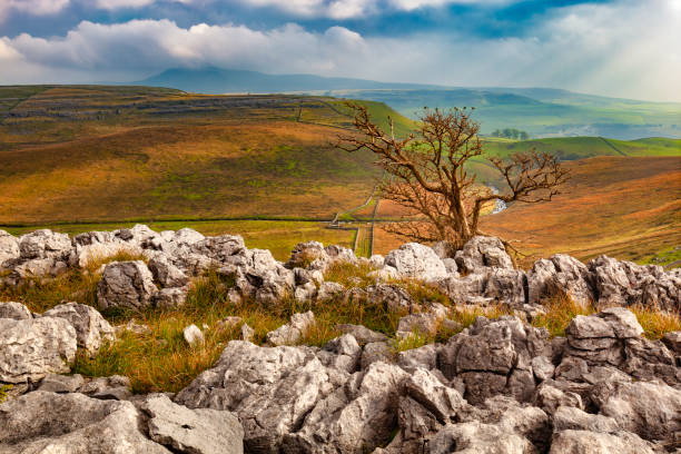 ingleborough en novembre, yorkshire dales, angleterre - yorkshire dales photos et images de collection