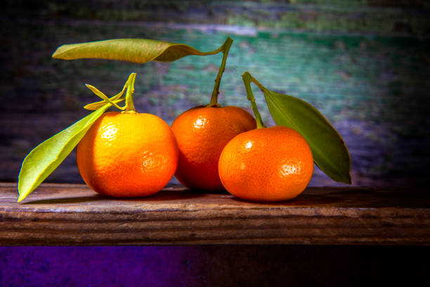 Three Tachibana Citruses on Wooden Shelf. Citruses In Sharp Light on Shelf.  Three Citrus Tachibana With Fresh or Dried leaves