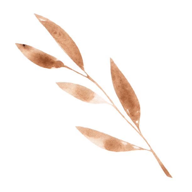 istock Hand drawn watercolor brown twig with leaves isolated on white background. 1294567073