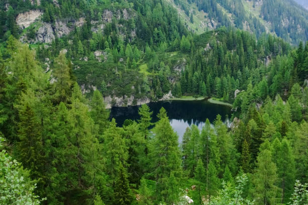 istock beautiful clear mountain lake between trees and hills 1294567146