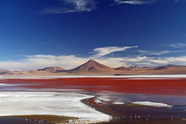 Scenic panoramic view on Laguna Colorada in Bolivia with Mountain Peaks of Andes and blue sky with clouds in the background and Red Lake Water and White Sand with flamingos