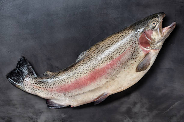 istock Fresh raw sea trout  black background 1294571394
