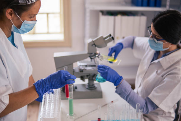 istock Coronavirus protection. Scientific researches in microbiological laboratory on COVID-19 vaccine elaboration in medical clinic. Female doctors wearing protective face masks looking at microbiology samples through a medical microscope and discussing. 1294572037