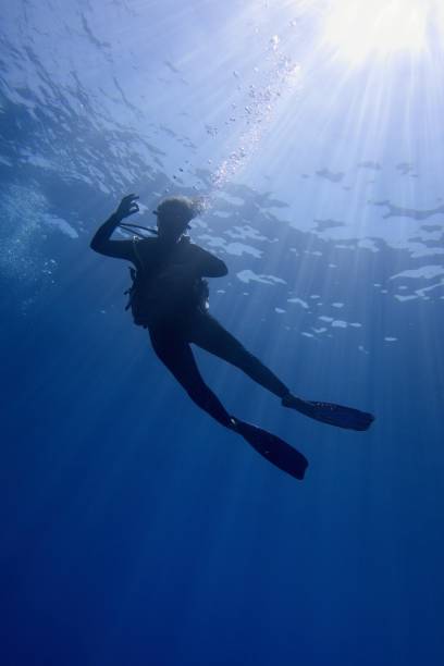 lumière du soleil de vie sous l’eau. faisceaux de soleil brillant sous l’eau et silhouette de femme de plongeur de plongée dans l’eau bleue - scuba diving flash photos et images de collection