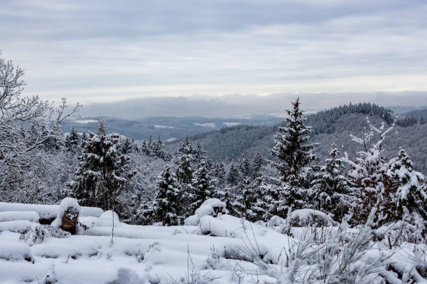 istock Winter in Germany, Rhineland-Palatinate 1294575723