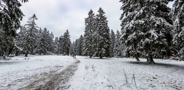 istock Winter in Germany, Rhineland-Palatinate 1294576083