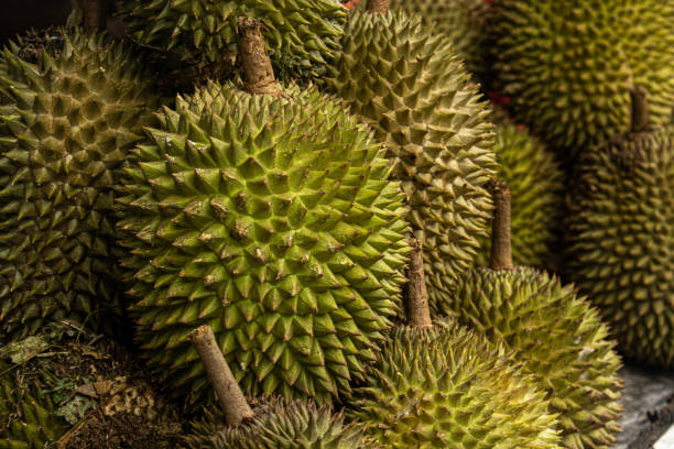 istock Durian Fruits 1294577394