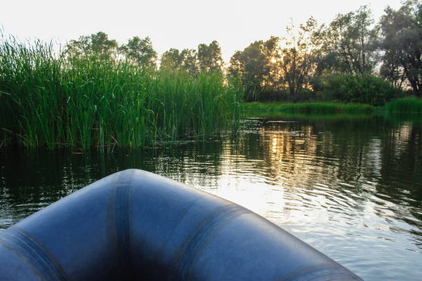 istock Landscape on the lake 1294578060