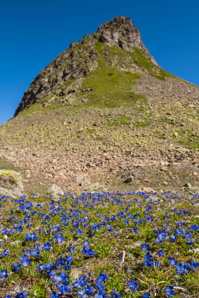 istock greeen mount peak on a blue sky background 1294579226