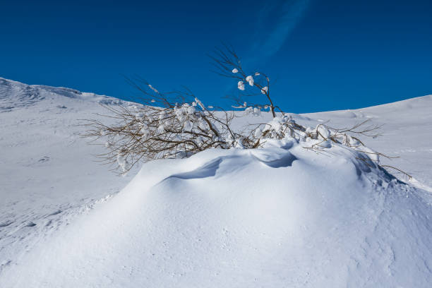 istock quiet winter hills in a snow 1294579272