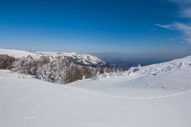 istock beautiful quiet winter snowbound hills 1294579308