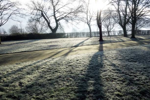 istock A Frosty Landscape. 1294580524