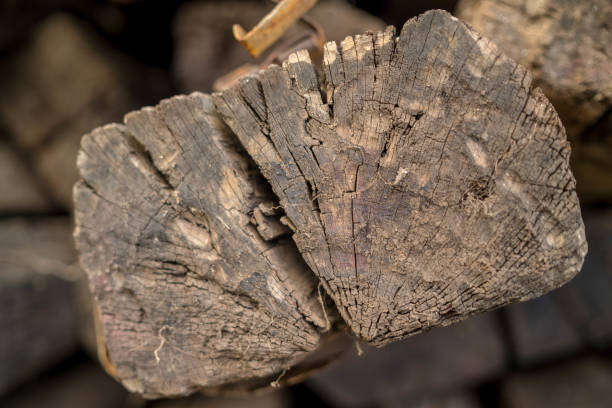 istock Folded stack, pile of wooden sawn logs 1294580619