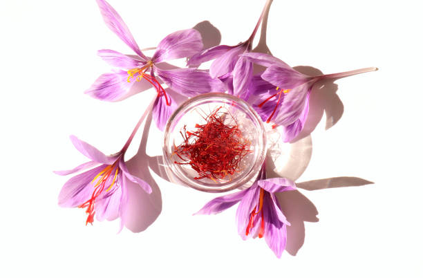 Autumn still life scene.Crocus sativus, commonly known as saffron crocus on a white background in sunlight, The crimson stigmas in a glass bowl.Long, harsh shadows. High angle. Refreshment, vacation concept. Autumn still life scene.Crocus sativus, commonly known as saffron crocus on a white background in sunlight, The crimson stigmas in a glass bowl.Long, harsh shadows. High angle,refreshment, vacation concept. saffron plant stock pictures, royalty-free photos & images