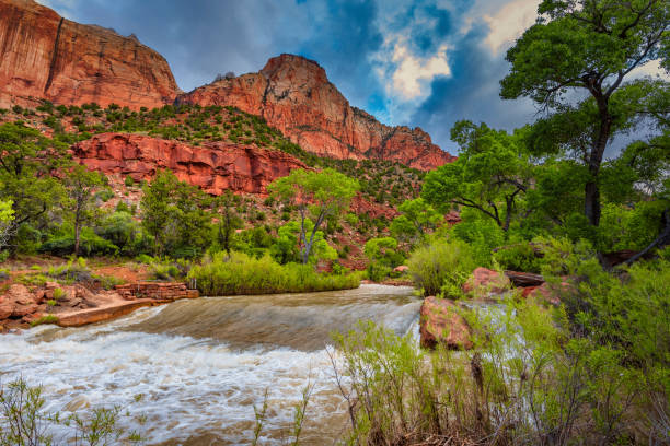 Virgin River in Zion National Park Rapids on the Virgin River with a Mountain in the background. boulder mountains stock pictures, royalty-free photos & images