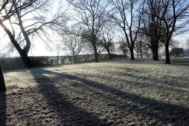 istock Winter In The Park. 1294582423