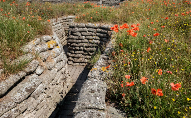 Belgian World War I trenches known as Dodengang (Trench of Death) surrounded by poppies.