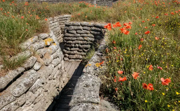 Photo of Belgian World War I trenches known as Dodengang (Trench of Death) surrounded by poppies.
