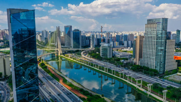 Sáo Paulo Ponte Estaiada and Marginal Pinheiros Cable-held bridge on pinheiros river in the capital of São Paula on blue sky day fir tree stock pictures, royalty-free photos & images