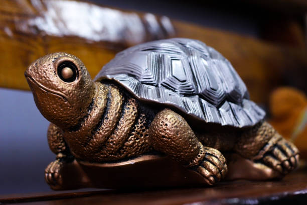 istock piggy Bank turtle on a wooden table 1294584837