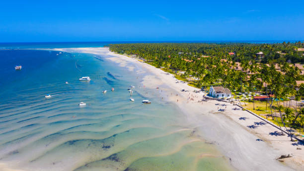 istock Beach in northeastern Brazil with clear and warm waters 1294584841