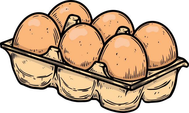 Cartoon Of Egg Carton Stock Photos, Pictures & Royalty-Free Images - iStock