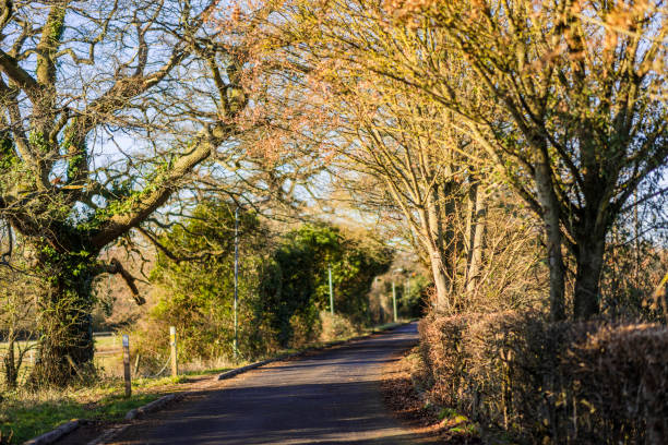istock lane road path dirt road on a sunny winters day in january between fields on a farm 1294591886