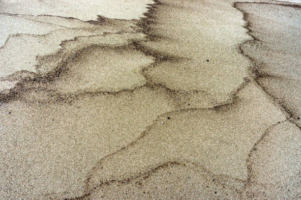 istock wet sand background, sea sand texture, sea sand with black spots 1294592042