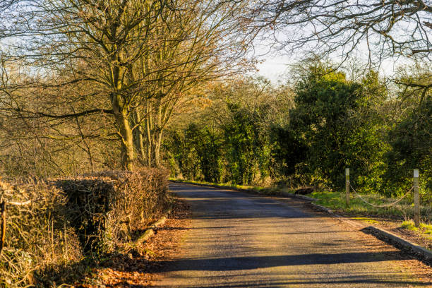 istock lane road path dirt road on a sunny winters day in january between fields on a farm 1294592147