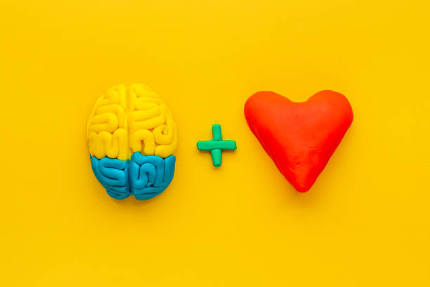 istock Heart and brain connection. Emotional intelligence concept. 1294592758