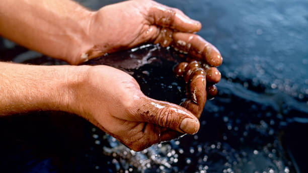 istock Hands cupping crude oil spills in water 1294599055
