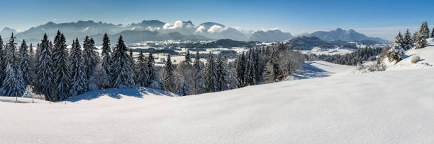 beautiful panoramic landscape with mountain range in Bavaria, Germany, at cold winter day beautiful panoramic landscape with mountain range in Bavaria, Germany, at cold winter day forggensee lake photos stock pictures, royalty-free photos & images