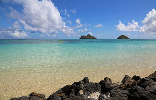 istock Volcanic rock on Lanikai Beach 1294603918