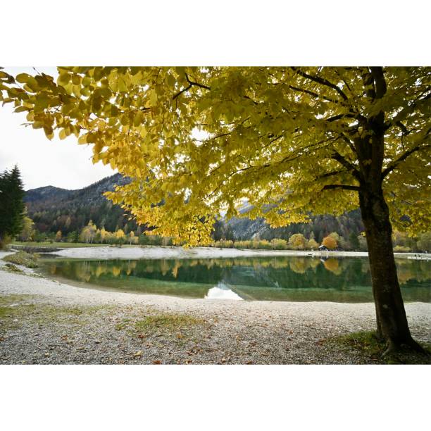 istock By Lake Jasna in autumn 1294604967