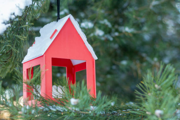 istock A feeder for feeding birds in winter hangs on the Christmas tree. 1294606104