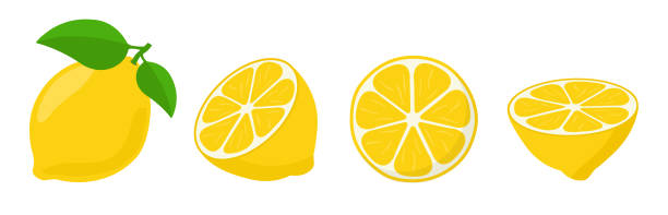 Fresh lemon icon vector illustrations Fresh lemon icon vector illustrations citron stock illustrations