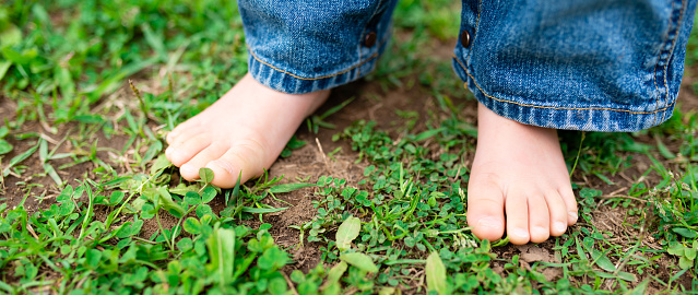 Field and barefoot child's feet