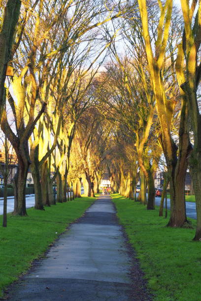 istock Winter sunrise in Garden Village, Hull 1294608599