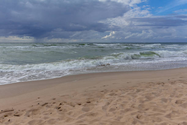 istock Sea before the storm on the Curonian Spit 1294608716