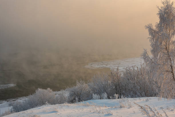 istock Frost-covered tree branches on the river bank in severe frost 1294610348