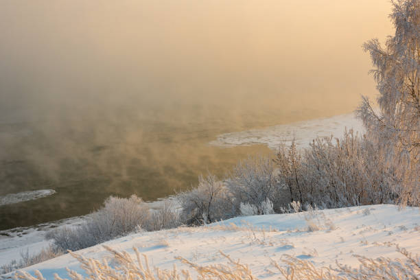 istock Frost-covered tree branches on the river bank in severe frost 1294610431