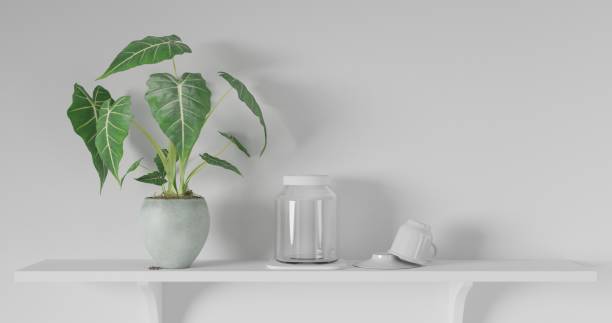 istock 3d render Front view of empty shelf on white table showcase and wall background with natural window light. Display of backdrop shelves for showing minimal concept. tree plant, glass and coffee cup. 1294611154
