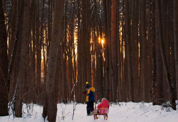 der siebenjährige junge rollt seine kleine schwester auf dem schlitten im winterwald. - little boys sled clothing slide stock-fotos und bilder