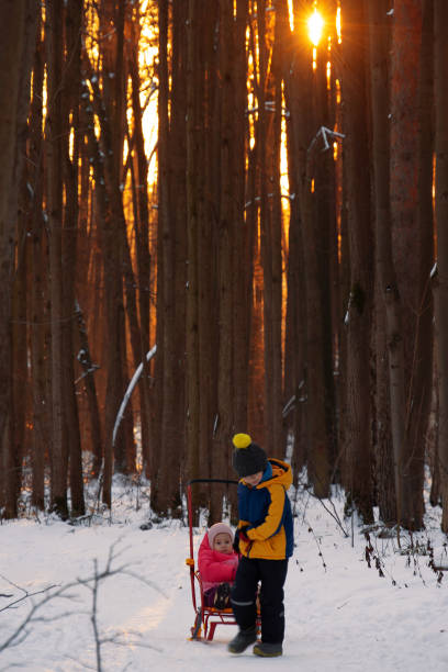 мальчик, семилетний, катит свою младшую сестру на санках в зимнем лесу. - little boys sled clothing slide стоковые фото и изображения