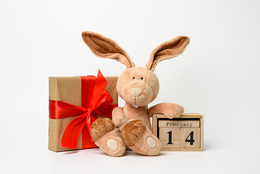 cute plush rabbit and a box with a gift tied with a red silk ribbon, white background. Wooden calendar with date 14 February