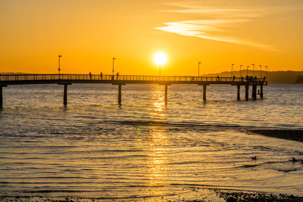 istock Pier And Golden Sky 4 1294615971
