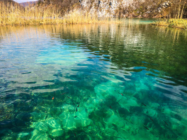 istock Lake in Croatia 1294621783