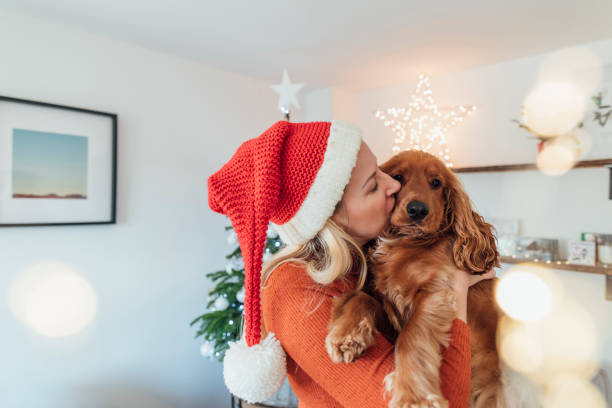 ¡feliz navidad! - i love you frase en inglés fotografías e imágenes de stock