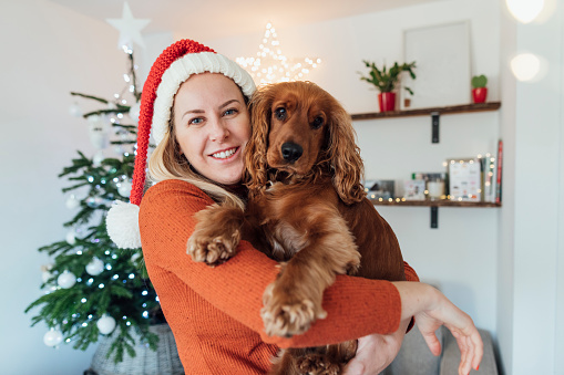 A close-up view of a mid adult woman in her home around Christmas time with her beautiful pet cocker spaniel she is holding him up in her arms and smiling towards the camera wearing a Santa hat.